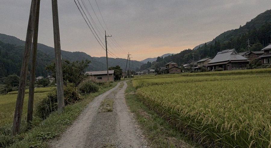 村のおすすめお散歩コース、見つけました(写真プレースホルダー)