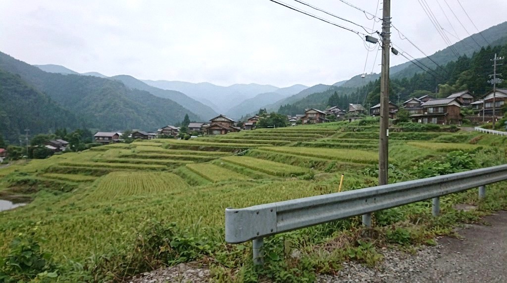 来堕村の棚田